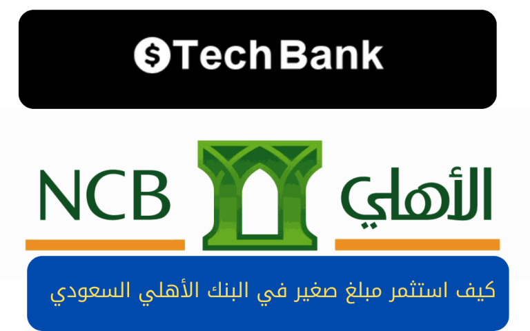 كيف استثمر مبلغ صغير في البنك الأهلي السعودي 1446