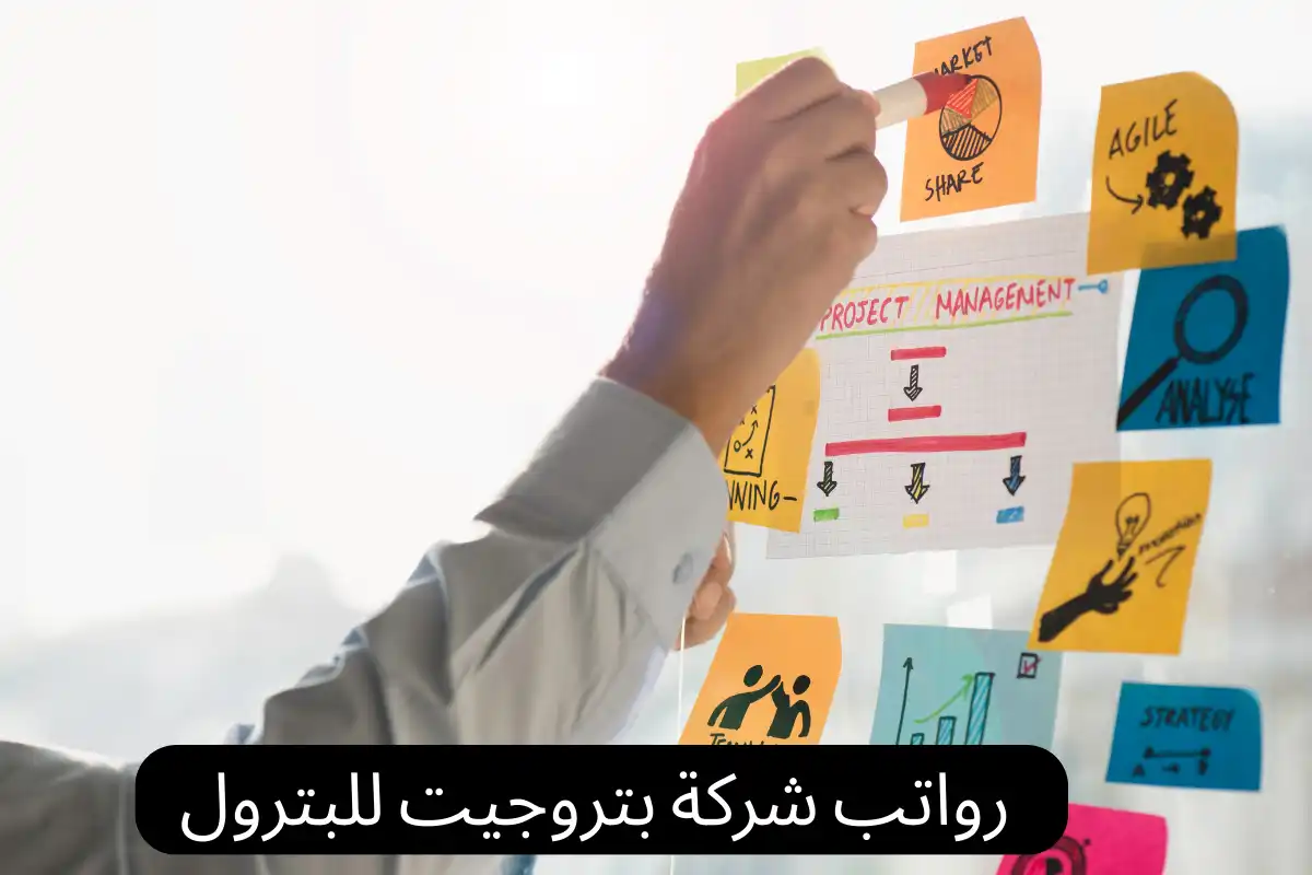 رواتب شركة بتروجيت للبترول